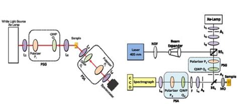 BioNaP Group-IISER Kolkata