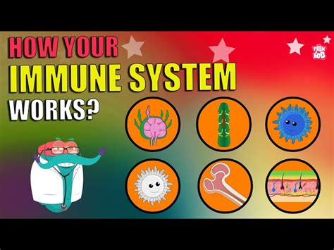 Image result for How the Immunity Systems Work