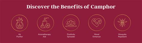 AuraCam Gold Standard Bhimseni Camphor - 50 GMS/Camphor for Pooja/100% ...