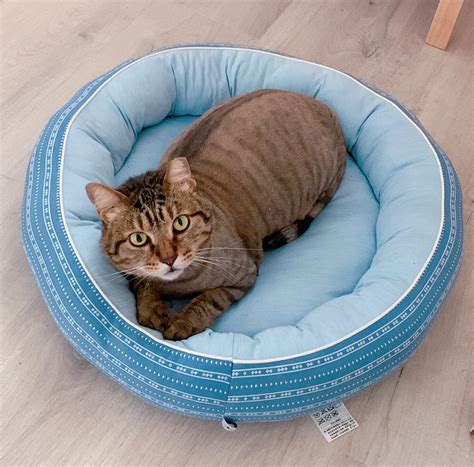 About me – Anna Wonderland