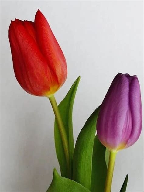 Start 2025 With Quotes By Famous Personalities