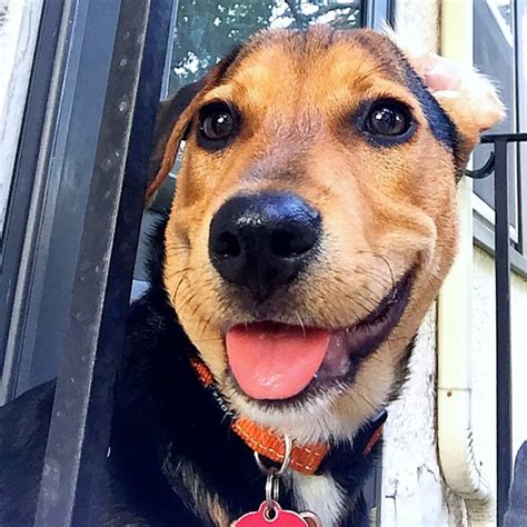 Creative Lessons 的图像结果