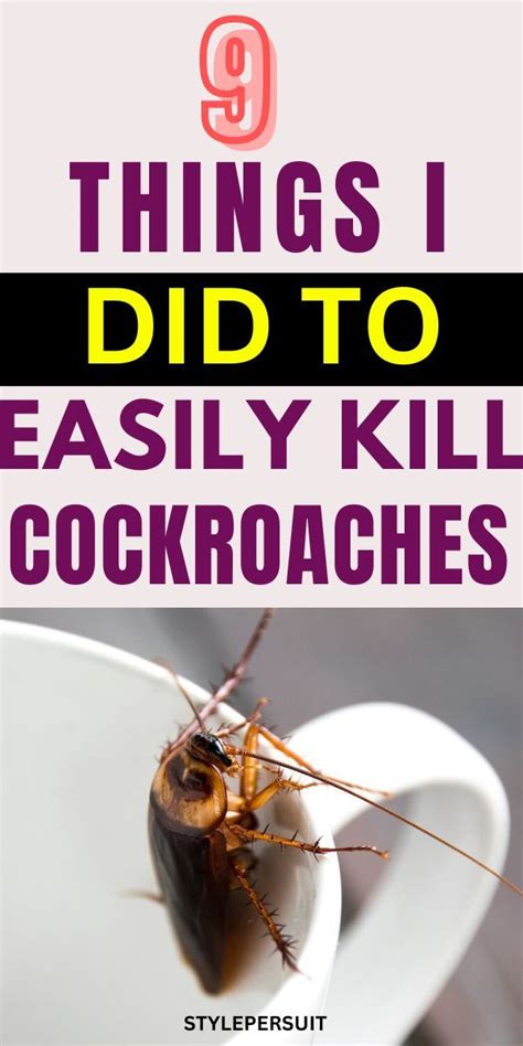 How to Kill Cockroach 的图像结果