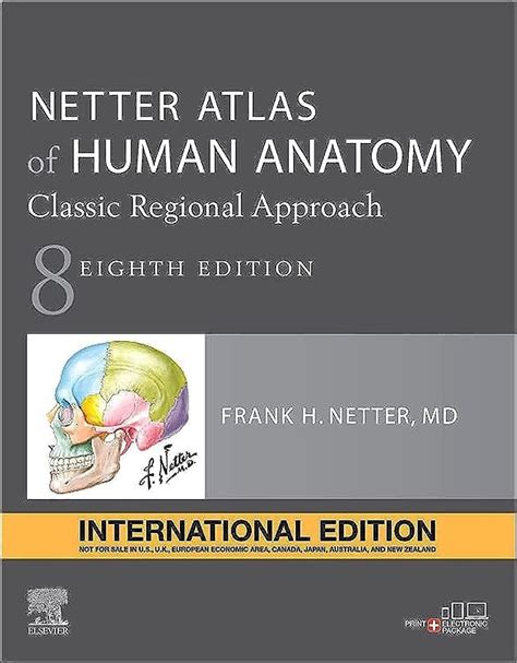 Netter Atlas of Human Anatomy: Classic Regional Approach, Internationa ...