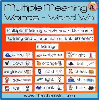 Multiple Meaning Words - Illustrated Word Wall by Nyla