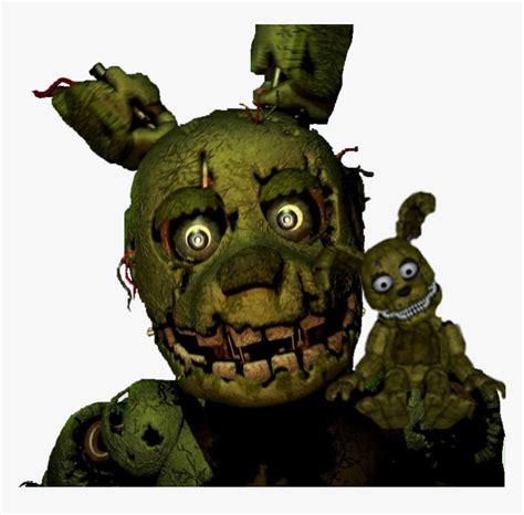 Image result for Spring Trape Foxy