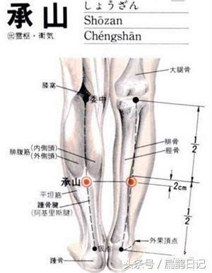 承山的准确位置图和作用 常用保健手法有哪些-健康经验本