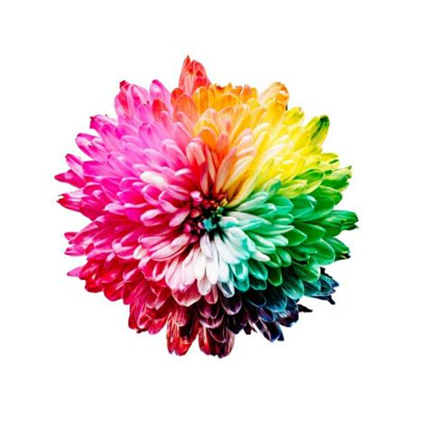 Colors and Ayurveda – Amrutam