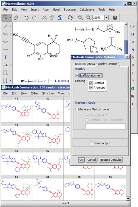 Markush Enumerator Plugin
