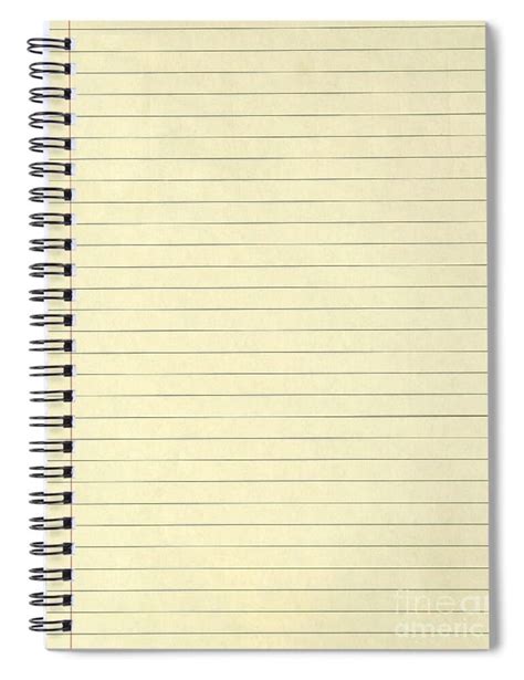 Image result for Notebook Paper Color