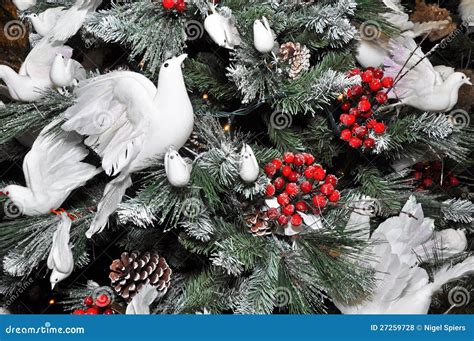 Christmas Tree Decorated with Snow & White Doves Stock Photo - Image of ...