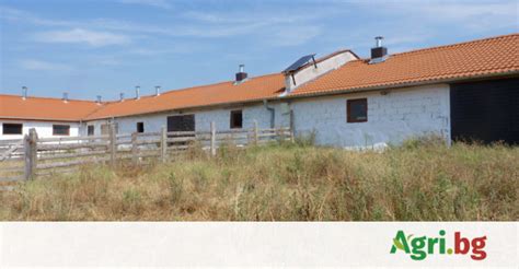 Ферма, 650 m2 серт 137 - 300 овче - нов покрив | Agri.BG