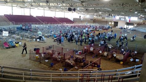 Fletcher Tourism (2024): All You Need to Know Before You Go