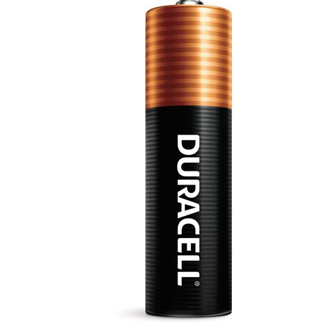 Buy Duracell Coppertop AA Battery with POWER BOOST™, 24 Pack Long ...