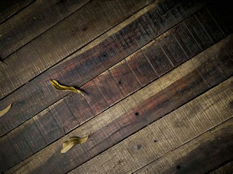 Epoxy Wood Floors: Can Epoxy Flooring Go Over Wood?