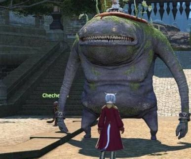 ff14坐骑任务在哪接-坐骑任务接取位置分享_趣玩手游网