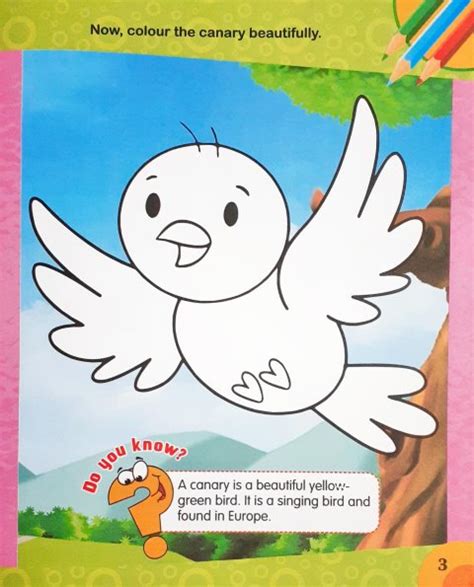Learn to Draw Birds – Books and You