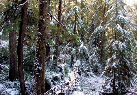 Nature 的图像结果