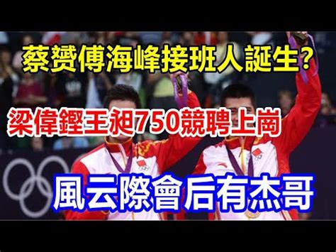 蔡赟傅海峰同志，张宁、蔡赟和傅海峰入选_可可情感网