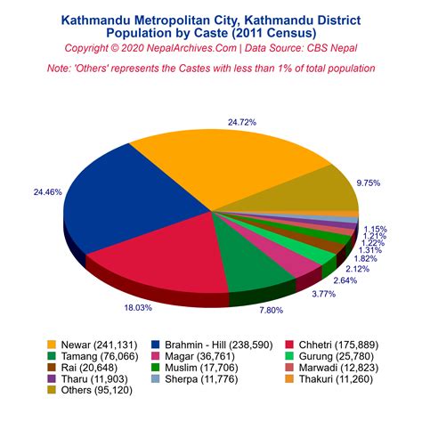 Kathmandu Metropolitan City Profile | Facts & Statistics – Nepal Archives