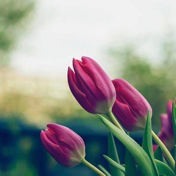 Mark Douglas House Obituary (1957 - 2022) | Clarksburg, West Virginia