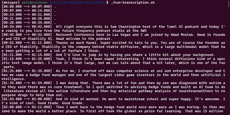 Openai Whisper Model Graph 的图像结果