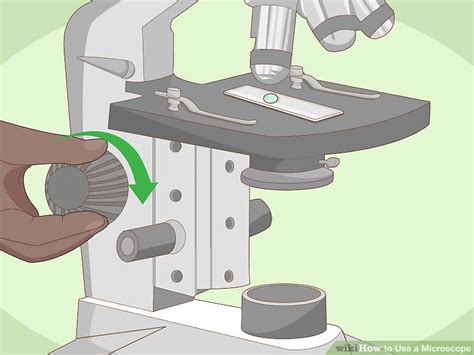 Image result for Step by Step How to Use a Microscope