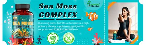 Buy Humming Herbs Sea Moss Complex 90 Capsules - With Irish Sea Moss ...