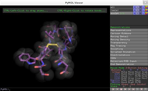 Image result for PyMOL Demo
