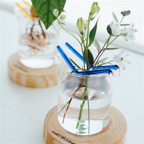 HARIO ビーカー 100ml | ハリオサイエンス公式通販