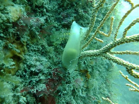 DIVE NEWQUAY (2026) All You Need to Know BEFORE You Go (with Photos ...