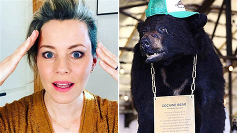 Bear accidentally took 30 kg cocaine drugs film made him | भालू ने गलती ...