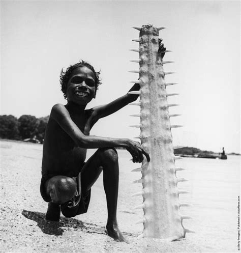 Garawa Language Structure: Gulf Country Aboriginal Linguistic Features