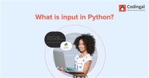 Input Data in Python 的图像结果