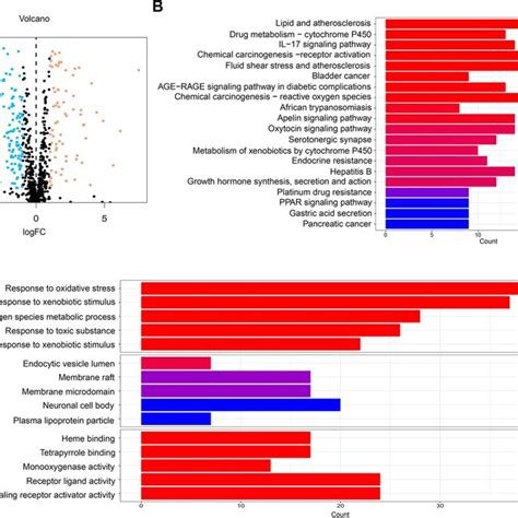Flowchart TCGA 的图像结果