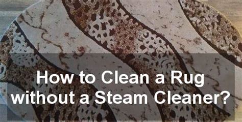 Image result for How to Deep Clean Small Rug without Washing Machine