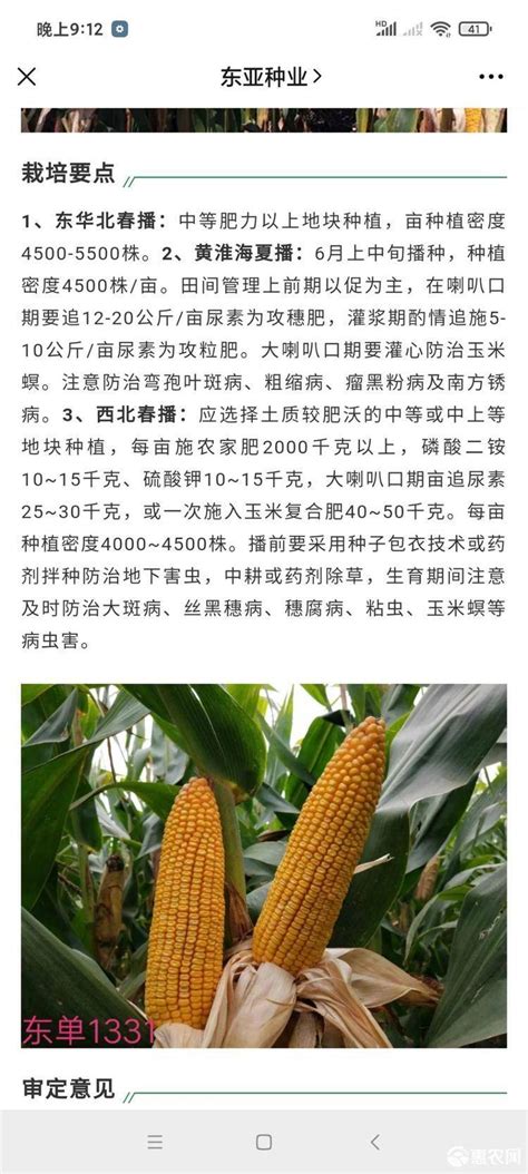 东单1331玉米种适合哪个省种植-农百科