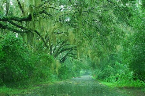 Humid 的图像结果