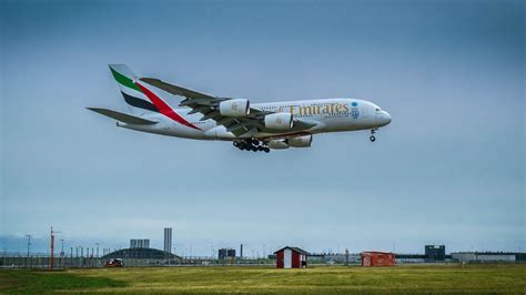 Flight 的图像结果