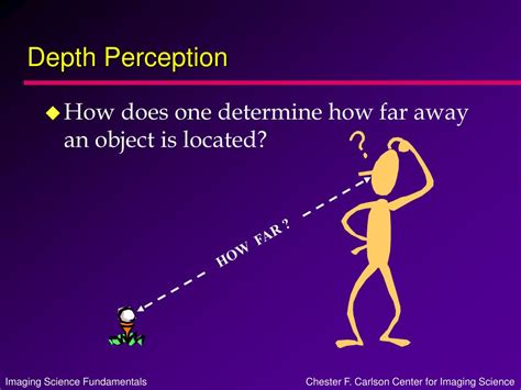 Depth Perception Definition 的图像结果