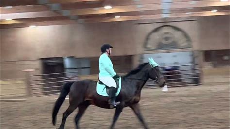 Image result for USDF Intro Test A