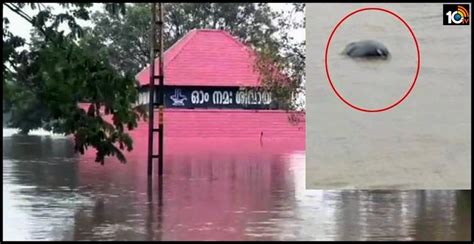 పెరియార్ నదిలో మునిగిన శివాలయం..కొట్టుకుపోయిన ఏనుగు periyar river ...