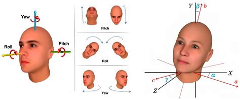 Vision–Geometry Fusion for Measuring Pupillary Height and ...