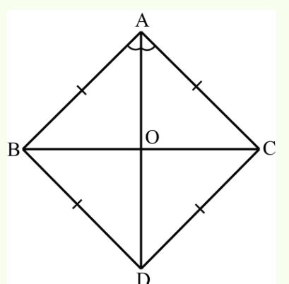 Image result for Triangle Chapter Class 9