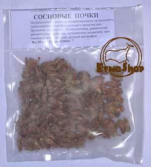 Сосновые почки (Turiones Pini)