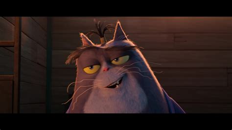 Cats Tees 的图像结果