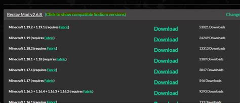 How to Use Replay Mod 的图像结果