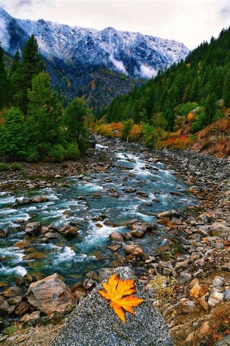 Washington 的图像结果