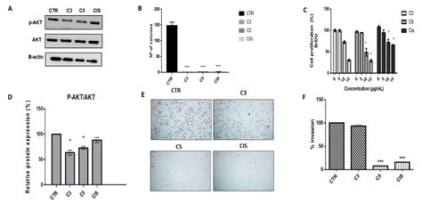 Annona coriacea Mart. Fractions Promote Cell Cycle Arrest and Inhibit ...