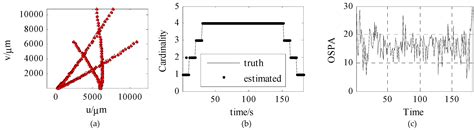 Space-Based Focal Plane Ambiguous Measurement Ballistic Target MeMber ...